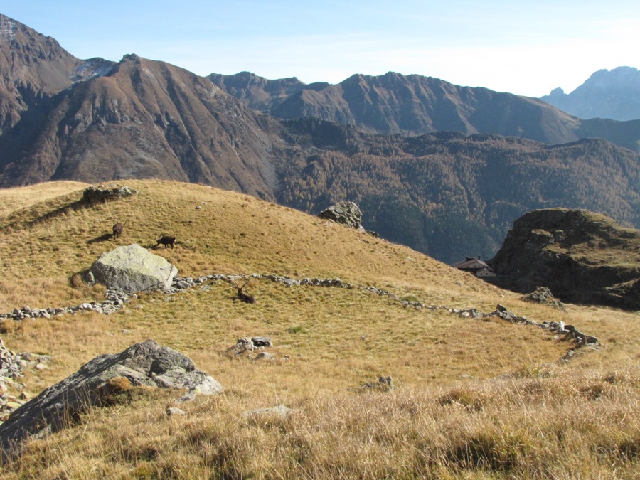 Rifugi e Bivacchi d''Italia.......